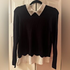 Belldini Black Sweater with White Collar
